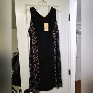 Candlattic Black Lace Inset Bodycon Dress Size L NWT